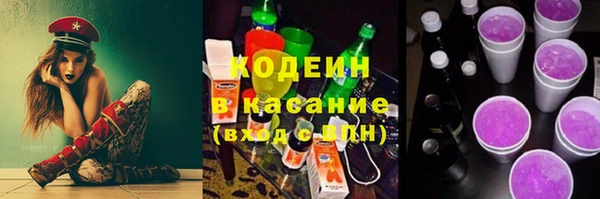 ГАЛЛЮЦИНОГЕННЫЕ ГРИБЫ Алзамай