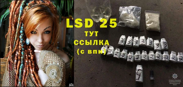 ГАЛЛЮЦИНОГЕННЫЕ ГРИБЫ Алзамай