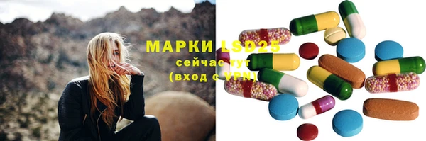 ГАЛЛЮЦИНОГЕННЫЕ ГРИБЫ Алзамай