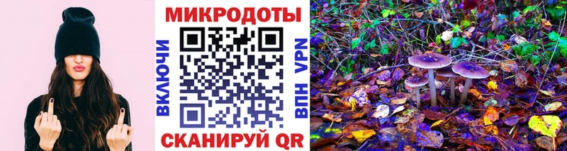 Псилоцибиновые грибы Cubensis  наркота  Инсар 